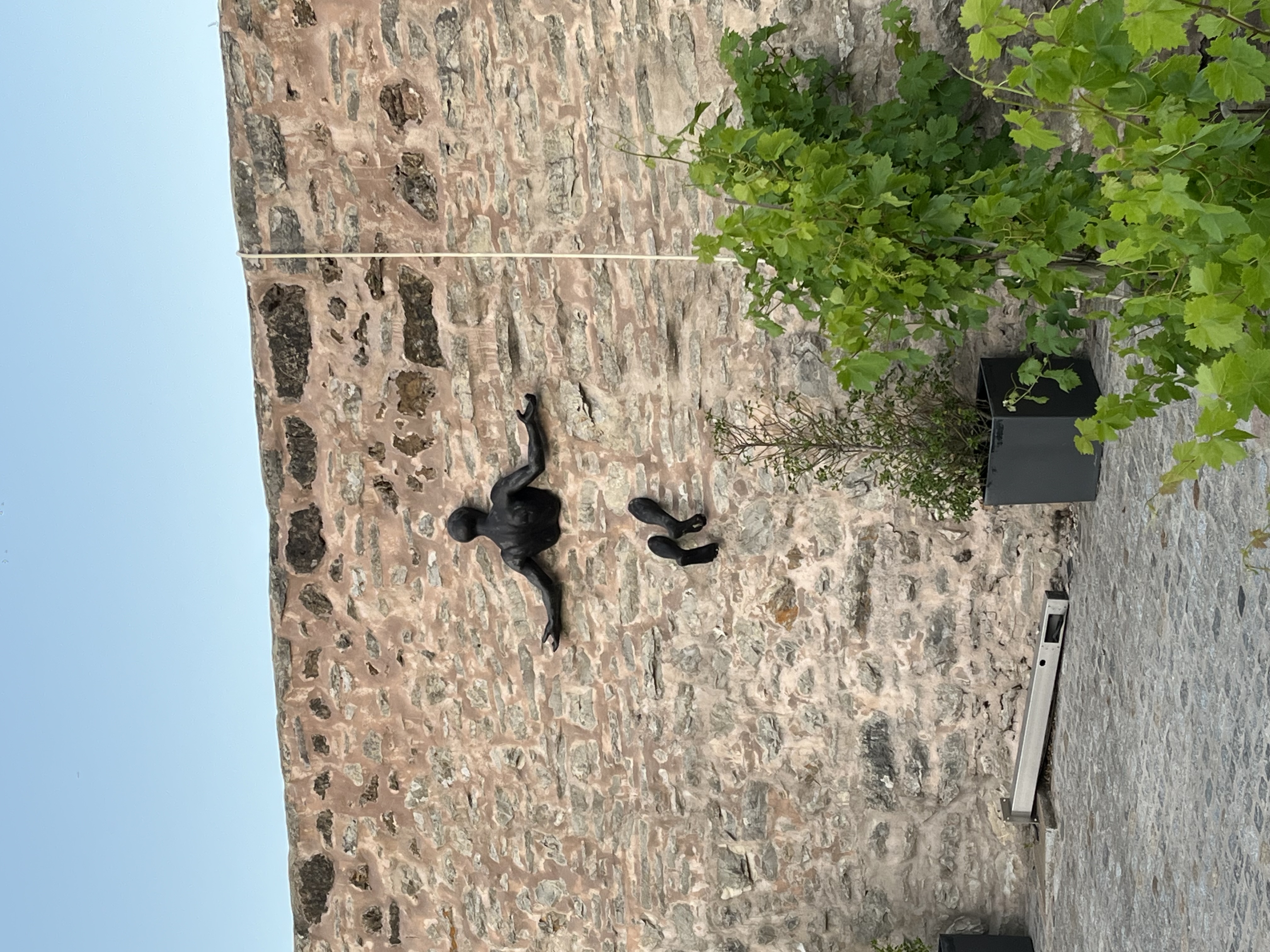 IMG 0430