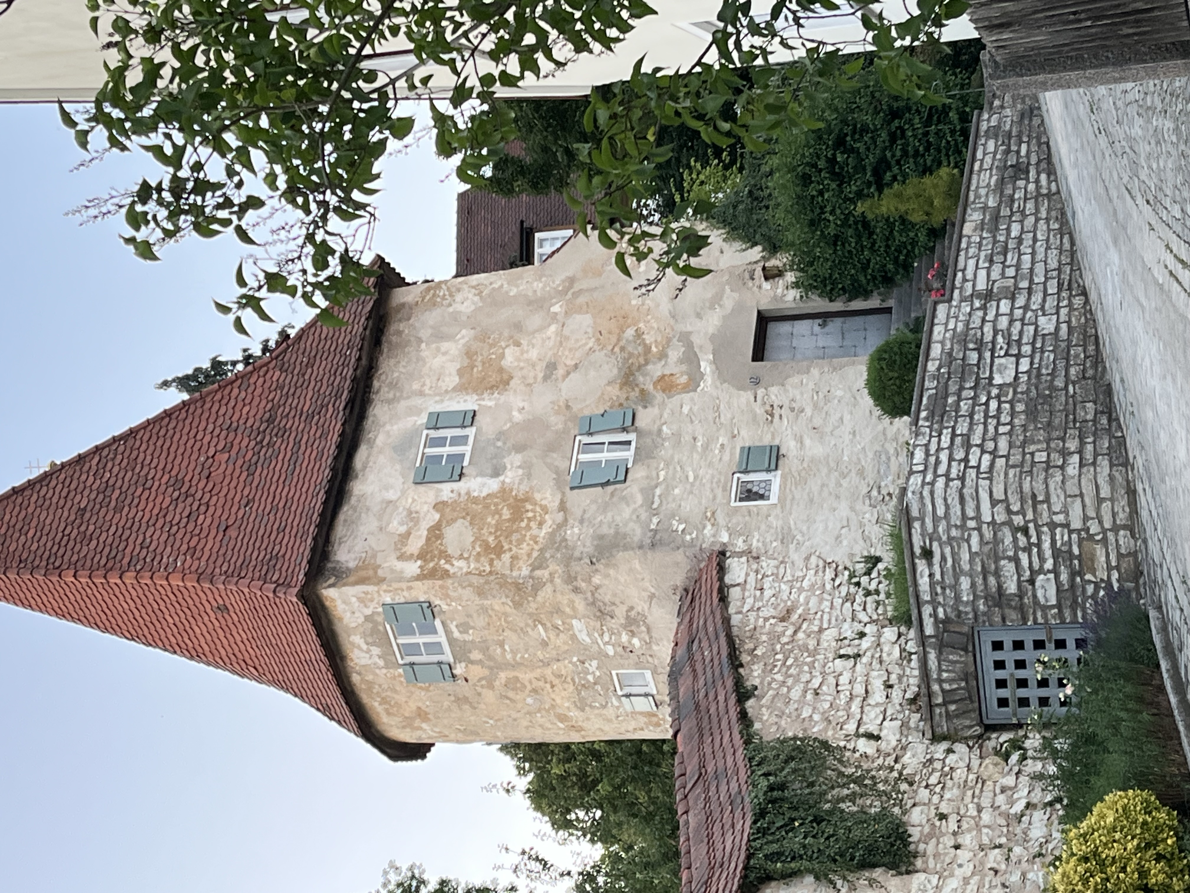 IMG 0432